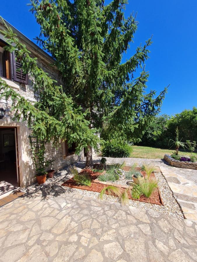 Stonehouse Ana With Jacuzzi Rovinj-Krmed Villa Exterior foto